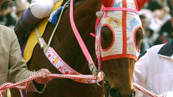 20 Years Ago This Losing Racehorse Charmed Japan — Now an Anime Horse-Girl Game’s Western Launch Has Brought Her a New Army of Fans